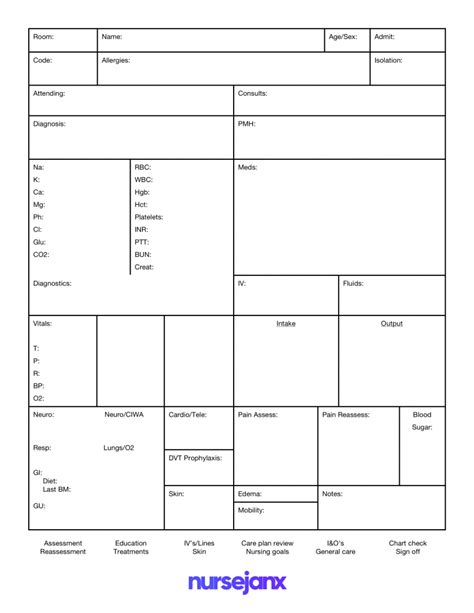 Nursing Brain Sheets for Chronic Conditions