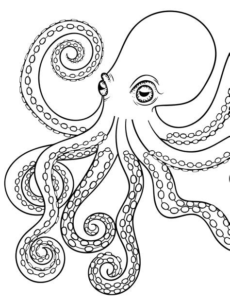 Octopus coloring page printables for kids