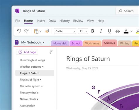 OneNote Sections and Tags