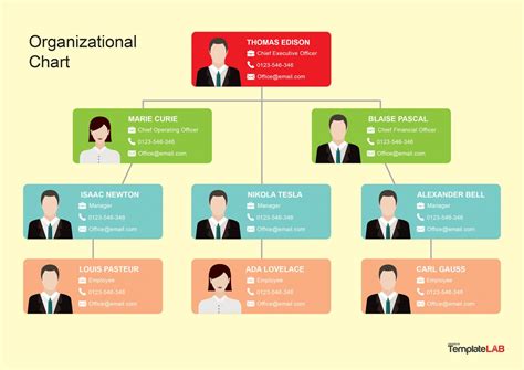 Org Chart Template Example