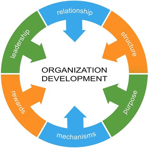 Organizational Growth and Development