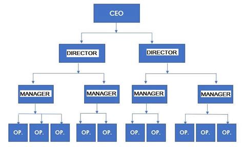 Example of Organizational Structure