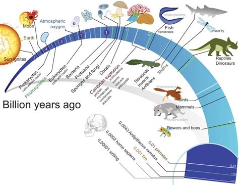 Origins and Evolution of Guy Pointing Meme