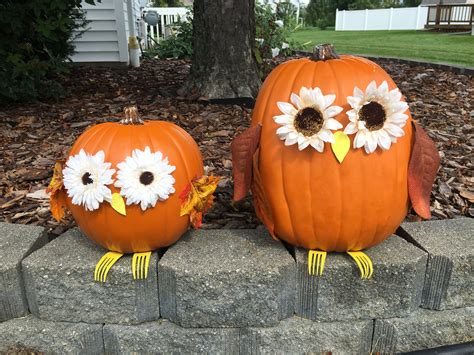 Owls Pumpkin Halloween