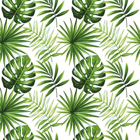 Palm Leaf Design