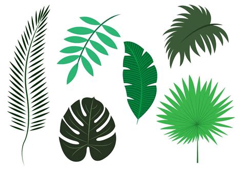 Palm Leaf Template Design Applications