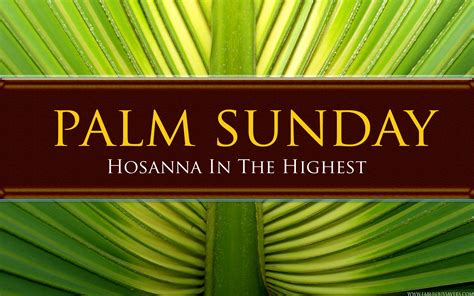 Palm Sunday Pictures