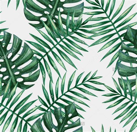 Palm Tree Leaves Design