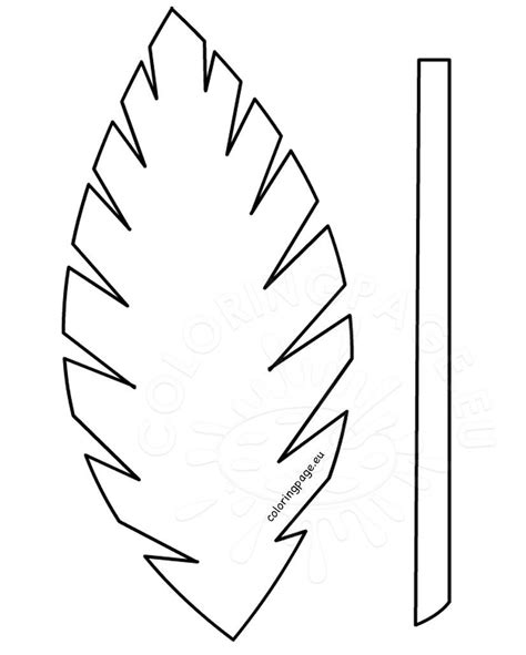 Palm Tree Leaves Template Design