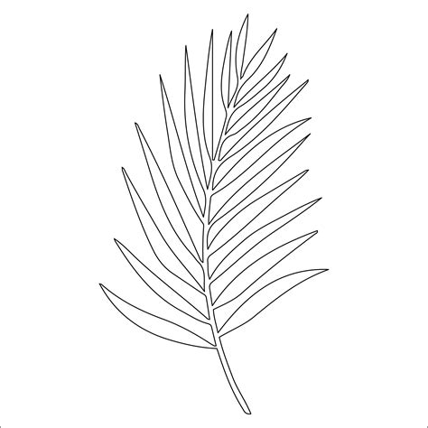 Palm Tree Leaves Template Design Mechanisms