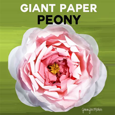 Description of Paper Peony