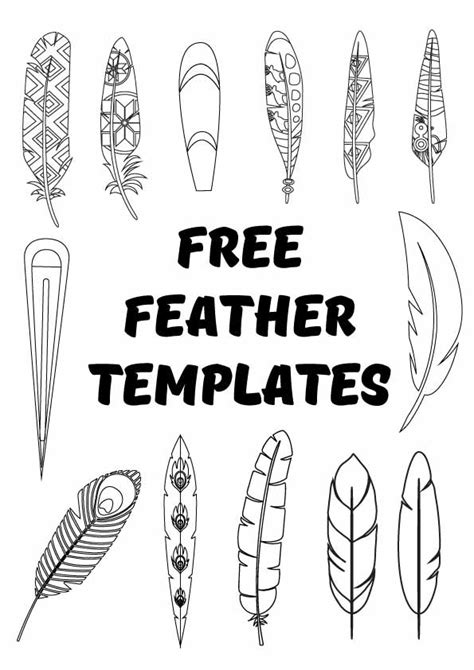 Parrot Feather Template