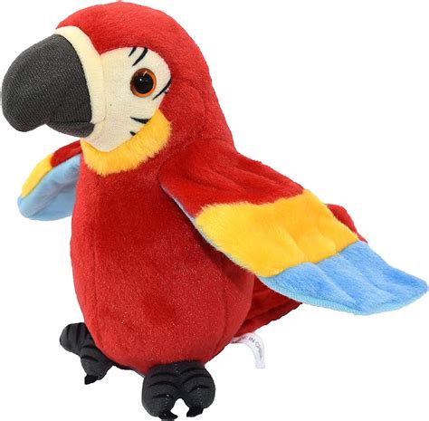 Parrot toys and activities