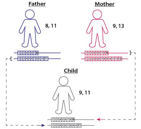 Limitations of fake paternity test templates