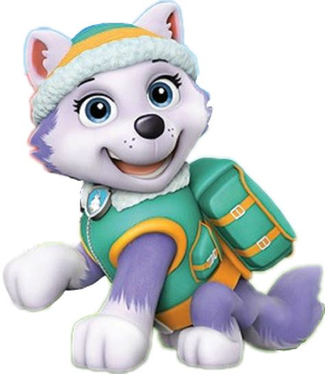 Everest from Paw Patrol