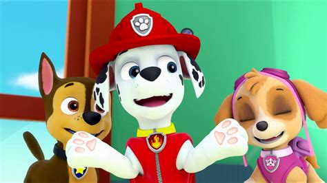 Paw Patrol Friends