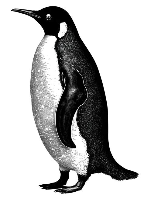 Penguin Art Template