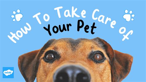 Pet Care Tips