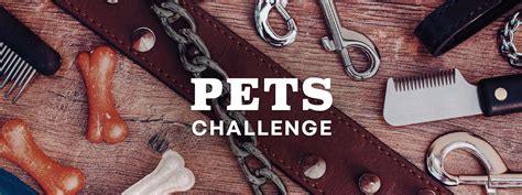 Common Pet Challenges