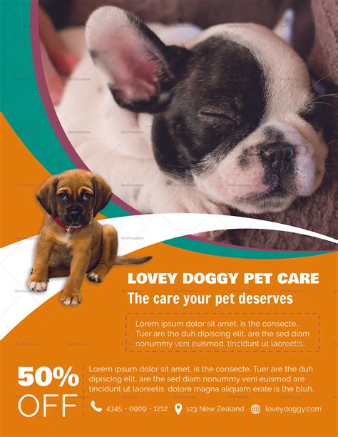 Description of Pet Flyer Design