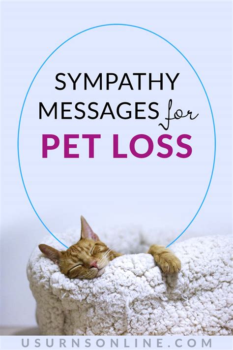 Understanding Pet Loss and Grief