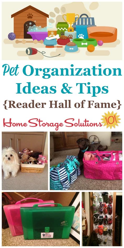 Pet Organization Tips