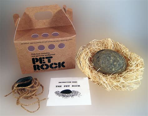 Pet rock box ideas