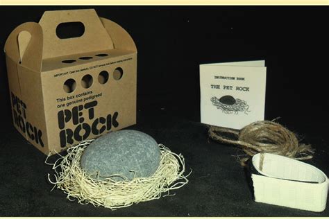 Pet rock box ideas colorful