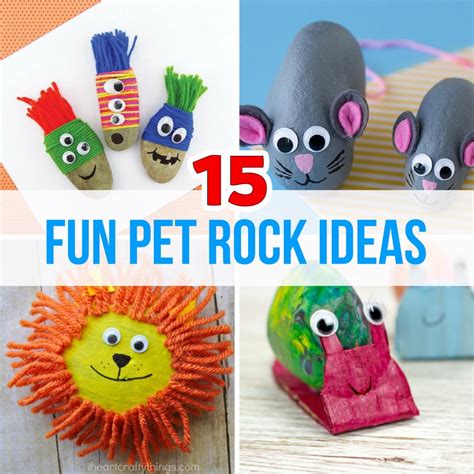 Pet rock box ideas fun