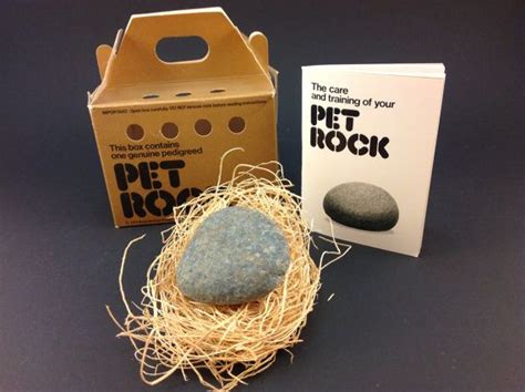 Pet rock box ideas gallery