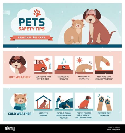 Pet Safety Tips to Prevent Loss