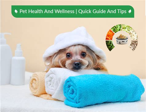 Pet Wellness