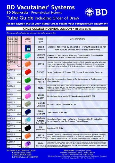 Phlebotomy Medical Terminology