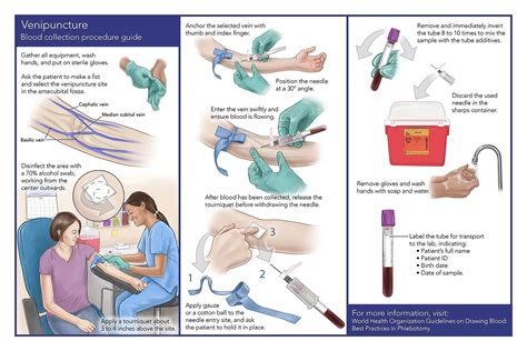 Phlebotomy Procedures