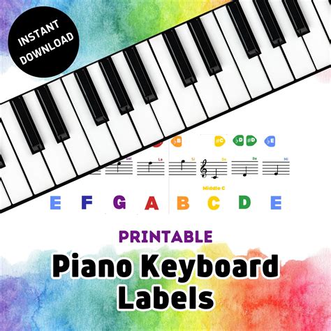 Piano Key Labels for Music Education