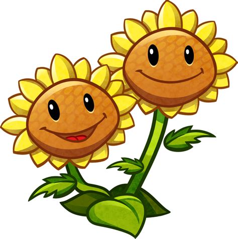 Sunflower coloring page