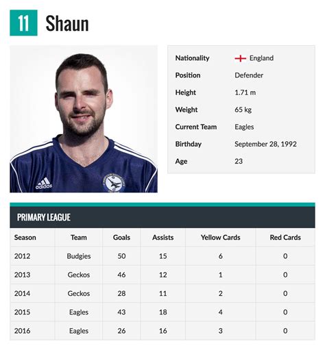 Player Profile Template for Gaming