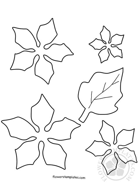 Poinsettia Template Ideas