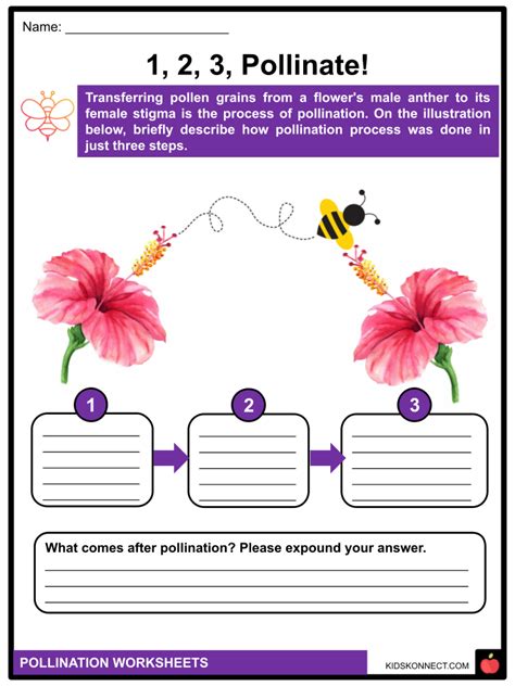 Pollination Worksheets