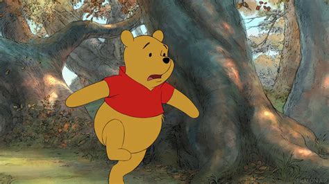 Pooh in the Forest