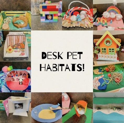 Popular Desk Pet Habitat Print Designs