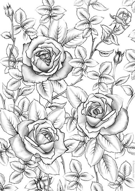 Popular Grayscale Coloring Pages