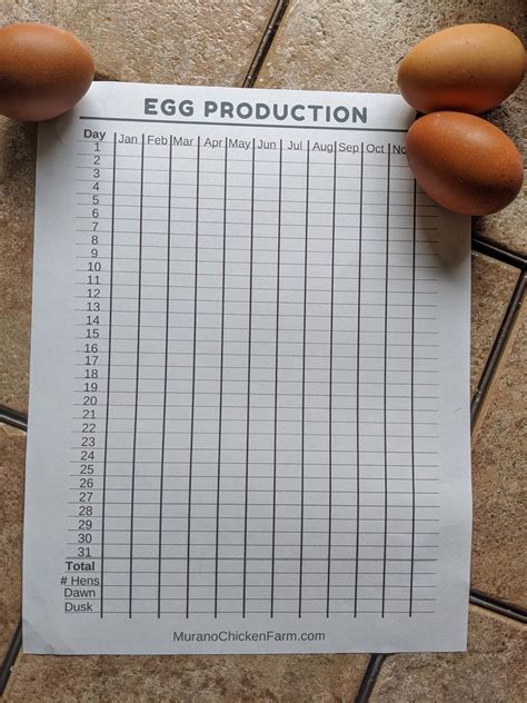 Poultry Egg Production Template