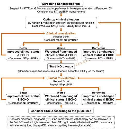 Description of PPHN Outcomes