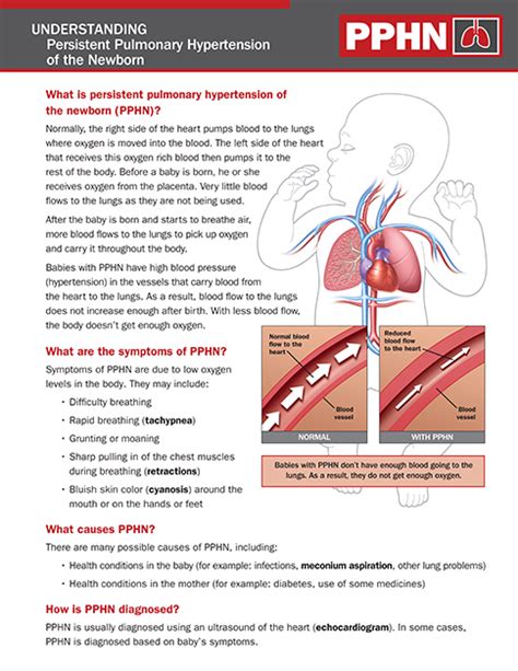 Description of PPHN Support