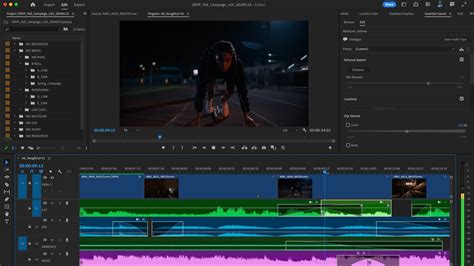 Premiere Pro