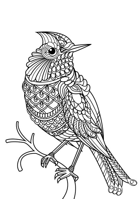 Printable Bird Coloring Pages for Adults