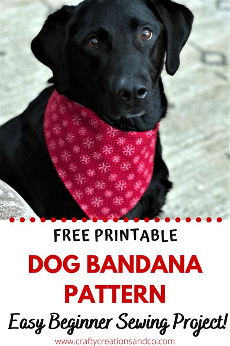 Printable dog bandana template