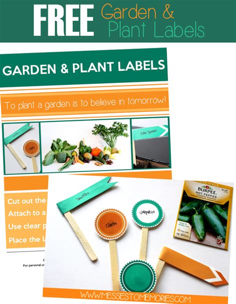 Printable Plant Label Template Design