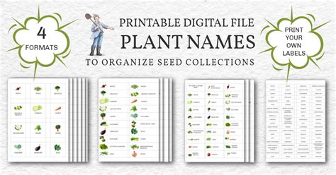 Printable Plant Label Template Methods